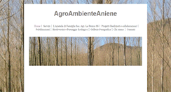 Desktop Screenshot of agroambienteaniene.com